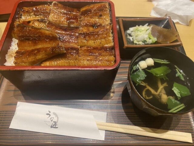 うな匠ヨドバシ秋葉原店でうな重特上を食べてみた